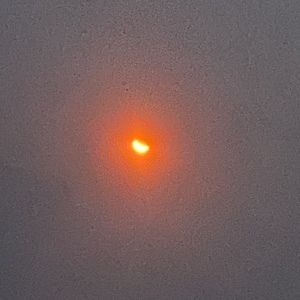 Meet your Posher, Jade